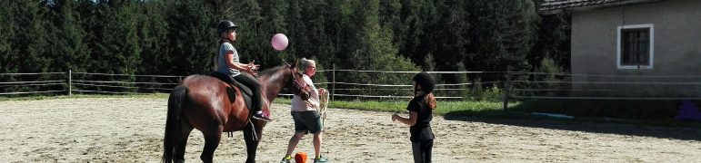 Fang den Ball!