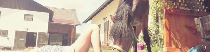 #wochenende #sommer #ponywaschen #chillen