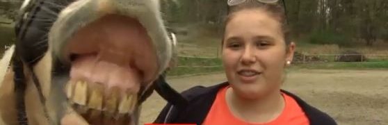 TV Stars – Vorstellung V