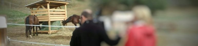 Wen hatten wir da wohl zu Besuch?