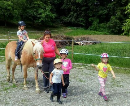 Pferdefieber im Ponyclub