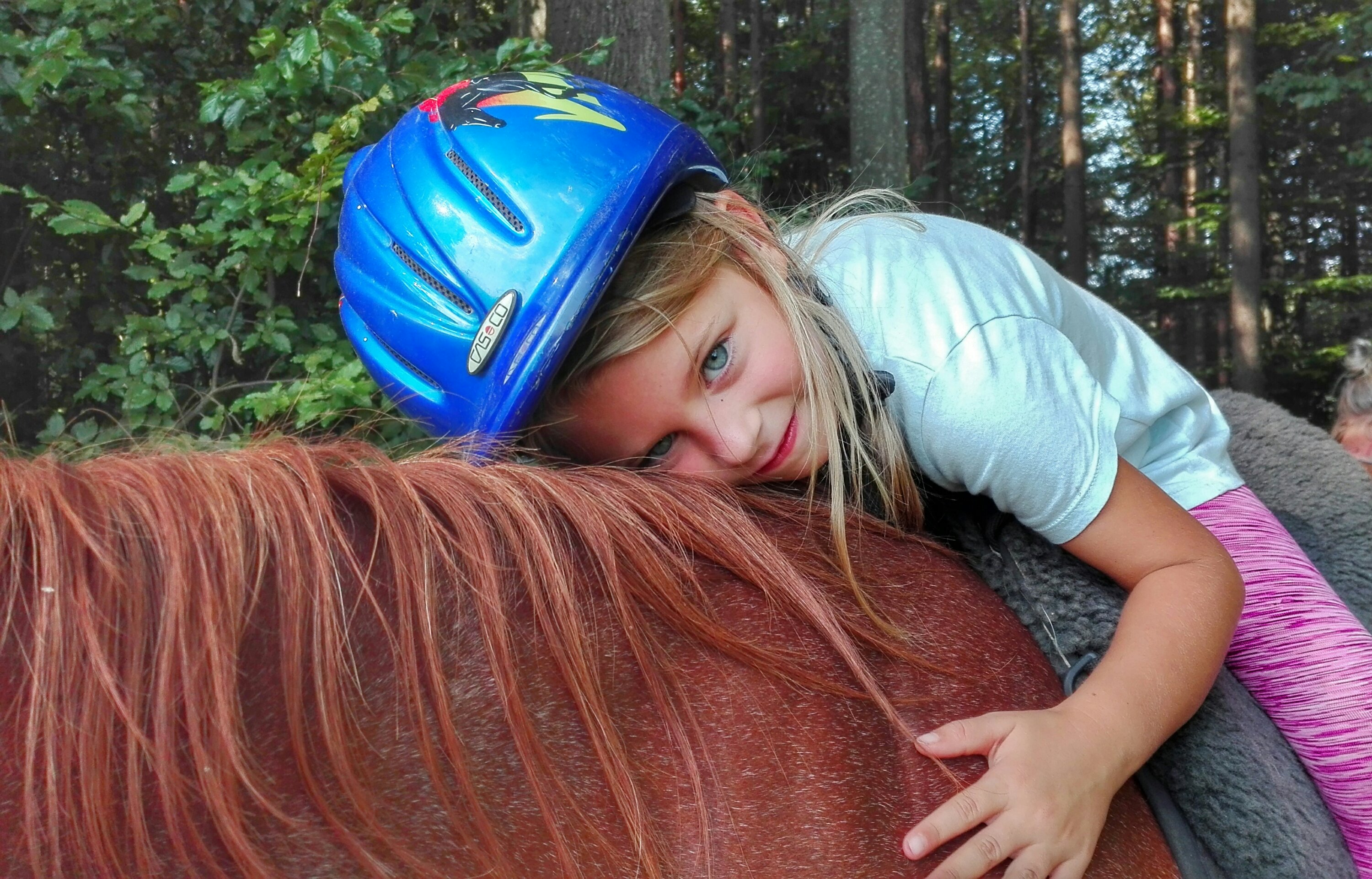 3, 2, 1… Ponyclub!