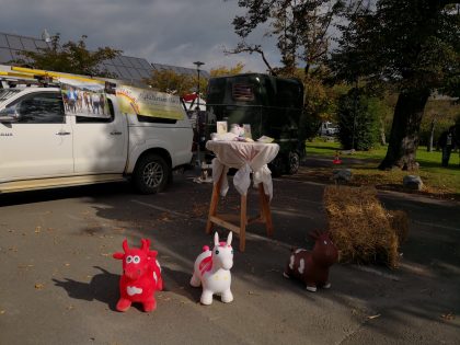 Burzel und Käfer Kindermesse Gleisdorf – September 2018